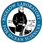 Bigelow Laboratories | Ocean Science & Research